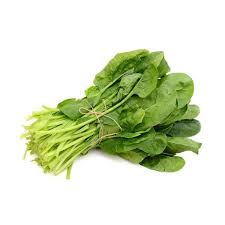 SPINACH
