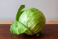 CABBAGE 