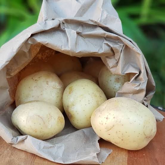 POTATOES LM 